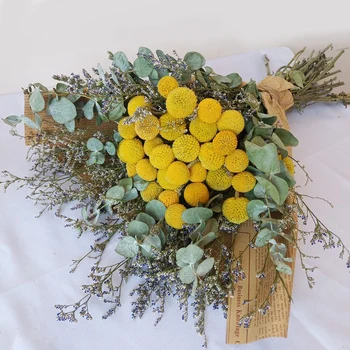 1 Buchet Natural de Flori Uscate de Aur Orb Frunze de Eucalipt Buchet DIY Acasă Petrecerea de Nunta Decor Acasă Conservate, Uscate Flori