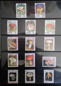 100buc/Mulțime de Ciuperci Timbru Subiect Diferite Din mai Multe Țări NU Repeta Timbre Poștale cu timbru de Colectare