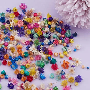 200pcs Flori Uscate Pentru DIY Rășină Epoxidică Lumânare de a Face Bijuterii din Sticlă de Umplere