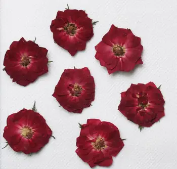 30pcs Presat de Trandafir Uscate de Flori de Plante Ierbar Pentru Rășină Epoxidică de Luare de Bijuterii Marcaj Caz de Telefon Fata Machiaj Unghii DIY