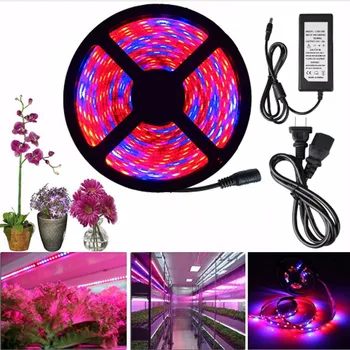 5m Hydroponice led-uri cresc light spectru complet + DC12V adaptor de alimentare pentru Plante de Interior Răsad Crească Flori și Plante de Legume