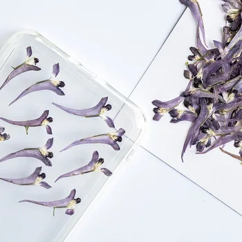 60pcs Presat Flori Uscate Corydalis cytisus Plante Ierbar Pentru Unghii Bijuterii Marcaj Caz de Telefon Carte de Invitație DIY