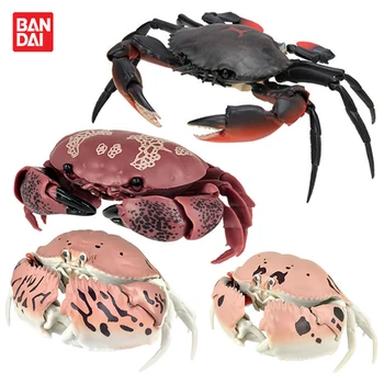 Bandai Reale Gashapon Jucării Simulat Biologice Atlas Uriaș Animal Marin Serie De Crab Figurina Model Ornament Jucarii