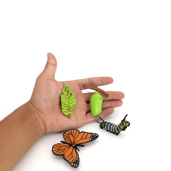 Insecte Fluture Ciclu de Creștere - 4 Etapă de Viață Insecte Figură Prezintă Ciclul de Viață al unui Fluture pentru Copii, materiale Didactice, Jucării Poveste