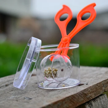 Plastic Explorarea Naturii Jucărie Kit Pentru Copii Planta De Insecte Instrument De Studiu - Foarfeca Plastic Clemă De Pensete