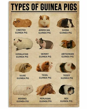 Porci De Guineea Poster, Ca De Hamster, Pentru Dormitor, Sufragerie, Tablă De Metal Semn Decor De Perete